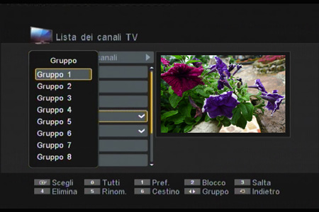 SMT-T1041 1.1.1 Modifica Questo menu consente di modificare l elenco canali TV. 1. Premere il tasto ROSSO. Nota: se il canale è bloccato, digitare la password per accedere al menu [Modifica].