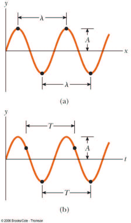 cresta I singoli punti oscillano come oscillatori armonici semplici t fisso gola Lunghezza d onda λ: distanza fra due creste successive Periodo T: tempo impiegato da ogni punto a compiere