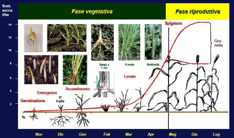 Efficacia Residui Ciclo