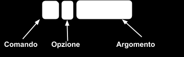 Bioinformatica II LM Biologia Evoluzionistica, Università di Padova Docenti: Dr. Giorgio Valle, Dr.