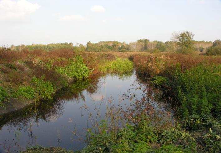 La carta di identità L origine del lago L origine del lago Nome: Lago di Candia Protezione: Parco Naturale di interesse provinciale (Provincia di Torino) Dati tecnici: - si trova ad una quota di 226