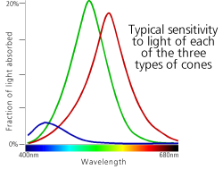 Costrzione di Interfacce Lezione aolo Cignoni Colore La lce e na forma di radiazione elettromagnetica La retina mana ha tre tipi di recettori i coni sensibili a particolari lnghezze d onda p.