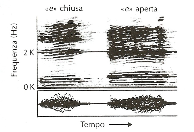 Dalle considerazioni precedenti, si è evidenziato che il timbro di uno strumento è determinato dall evoluzione del contenuto spettrale del suono nel tempo.