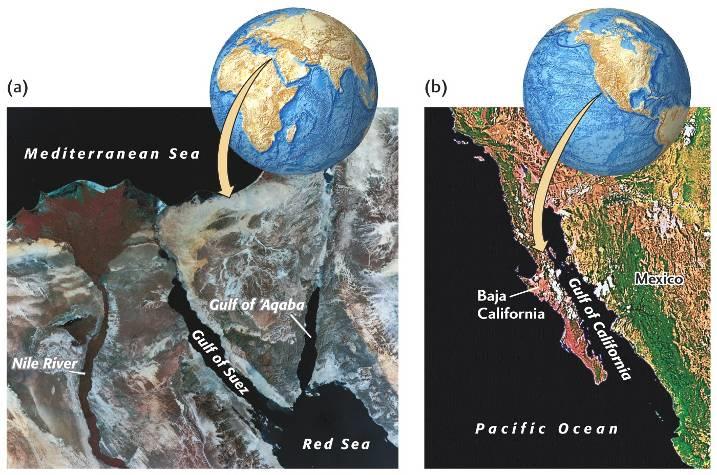 Mar Rosso e Baja California: due rift vally attive, ma ad uno stadio iniziale.