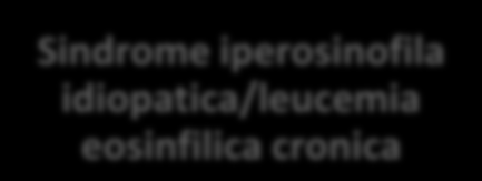 IPEREOSINOFILIA Aumento degli eosinofili nel sangue maggiore di 1500/uL per almeno 6 mesi senza una causa evidente Biopsia del midollo osseo e studio