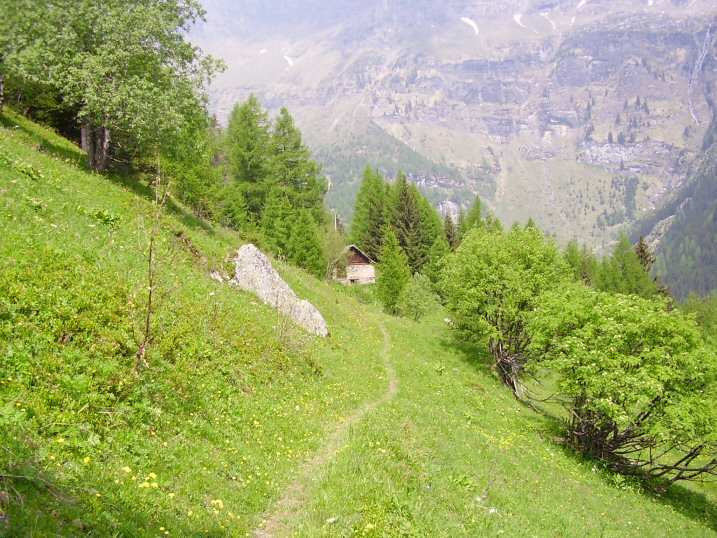 Uno scorcio di case Francoli e il sentiero verso l alpe Vova Salecchio Superiore, oltre che durante la bella stagione, rivive durante la festa del Primo Maggio e viene festeggiata qui dove esiste la