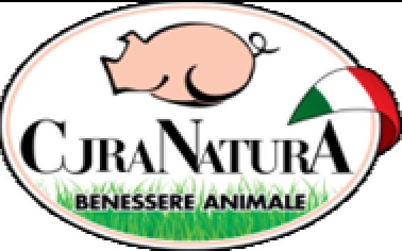 Cura Natura Società Agricola 25 addetti In 16 Unità produttive in pianura padana 3.500 scrofe Fatturato 16.000.