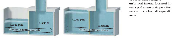 Osmosi: processo nel quale un solvente passa