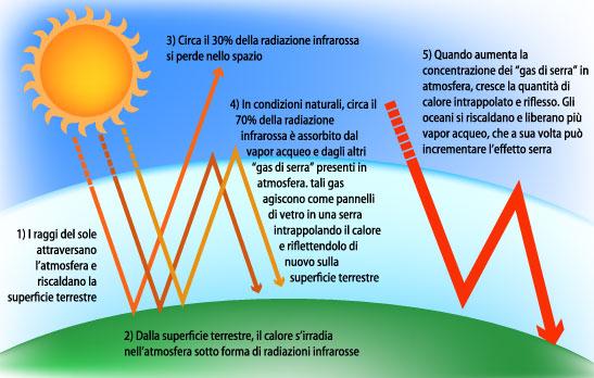 Regolazione del clima Il principale gas a effetto serra è il vapore acqueo, responsabile per circa 2/3 dell effetto serra naturale.