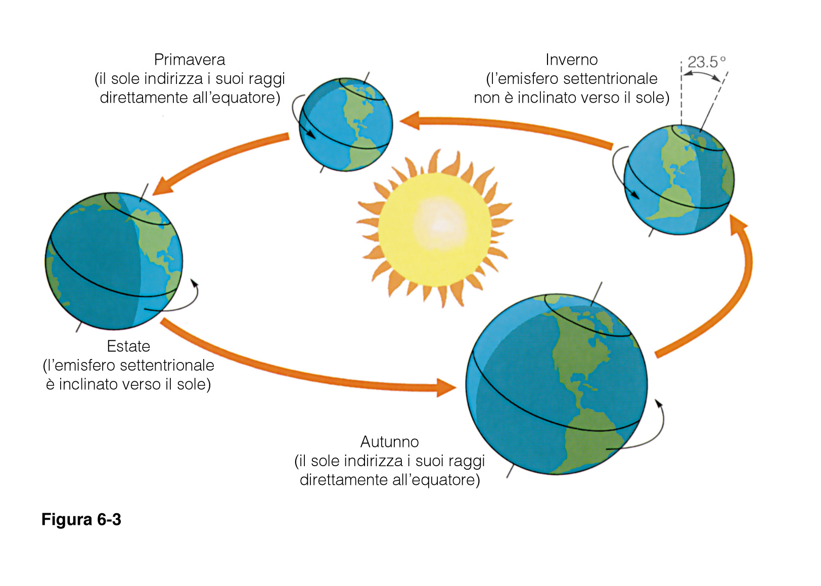 Distribuzione dell energia solare non uniforme Attraverso il ciclo dell'acqua, l'idrosfera riesce a contenere una vasta riserva di calore.