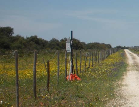 Centraline di monitoraggio: permettono l acquisizione h24 del