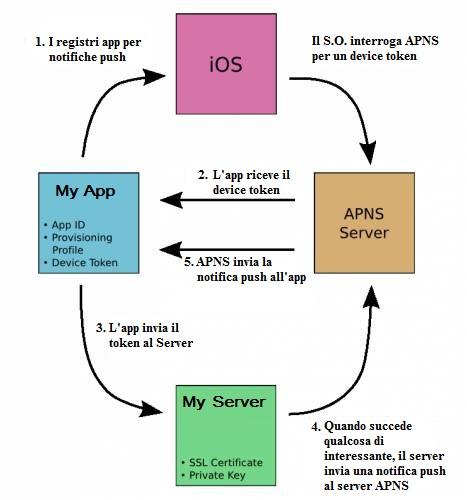 Panoramica generale Schema rappresentativo del funzionamento di tutto il sistema push. Le notifiche push vengono abilitate dall app.