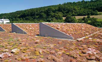 Con il sistema per tetto verde leggero Bauder è possibile eseguire l inverdimento anche di costruzioni di tetto a portata ridotta con circa 70 kg/m².