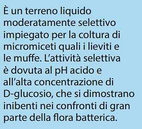 PREPARAZIONE DEI TERRENI DI COLTURA - pesata dei vari costituenti - dissoluzione in acqua - sterilizzazione in autoclave Idrolizzato di proteine del latte, della carne o della soia con pepsina per