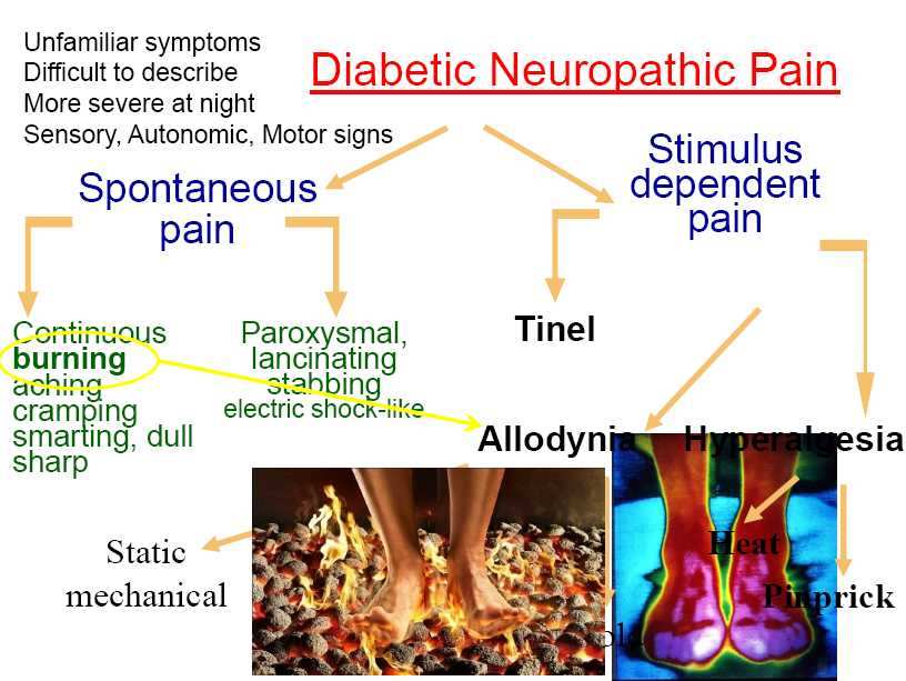 Dolore Nocicettivo i recettori del dolore svolgono il loro com pito, segnalando al centro che i tessuti circostanti sono esposti a danno Primo neurone o Nocicettor e Gangli Corno dorsale Secondo