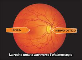 : //formazione dell immagine Utilizzando un oftalmoscopio si può vedere la superficie posteriore degli occhi dei pazienti: il