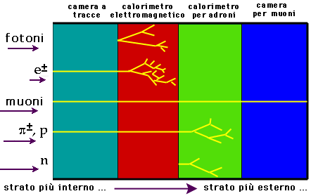 Come si rivelano gli