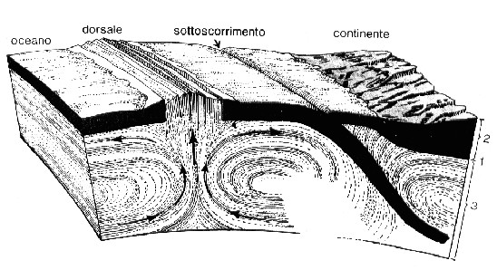 AMBIENTI MARINI E DINAMICA CROSTALE La dinamica crostale e la tettonica delle placche La teoria della tettonica delle placche si basa su un modello dinamico con placche litosferiche rigide che si