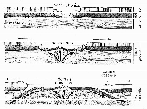 AMBIENTI MARINI E DINAMICA CROSTALE Le dorsali oceaniche Le dorsali oceaniche hanno forme diverse dalle catene montuose dei continenti e si estendono per una lunghezza di circa 80.