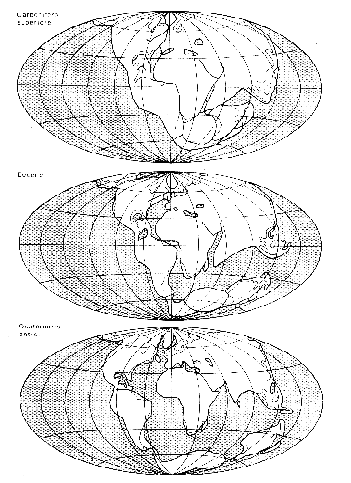 AMBIENTI MARINI E CENNI DI DINAMICA CROSTALE La teoria della deriva dei continenti di Alfred Wegener Alla fine del Paleozoico tutti i continenti erano riuniti a formare un unico continente, la PANGEA.