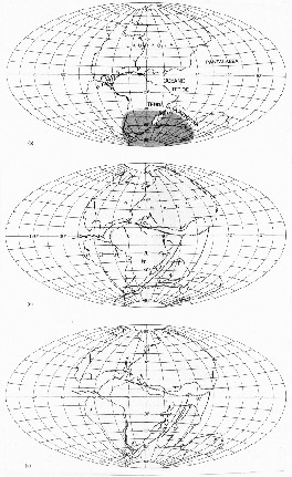 Ricostruzione dell'assetto geografico mondiale dalla fine del Paleozoico ad oggi (a) La scissione della Pangea.