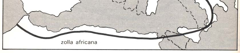 Teoria della deriva dei continenti La teoria delle placche nasce dalla teoria della deriva dei continenti (Alfred Wegener, 1912), basata sull ipotesi che i continenti