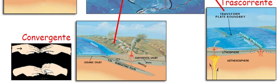 Nel movimento, i margini delle placche tendono ad entrare in collisione ( margini convergenti ), ad allontanarsi ( margini divergenti )
