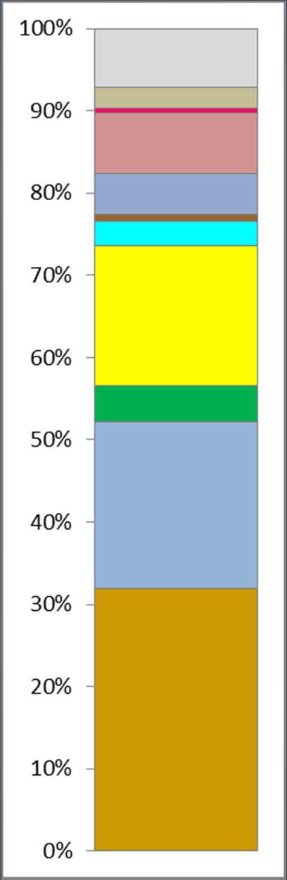 COMPOSIZIONE DEL RUR (CER 200301) 36 mila t Plastica 16 mila t pannolini 11 mila t