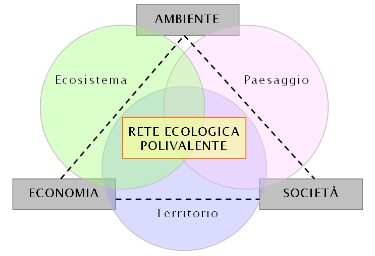 Cos è la VAS? La VAS (Valutazione Ambientale Strategica) è un processo di valutazione ambientale, previsto dalla Direttiva europea n.