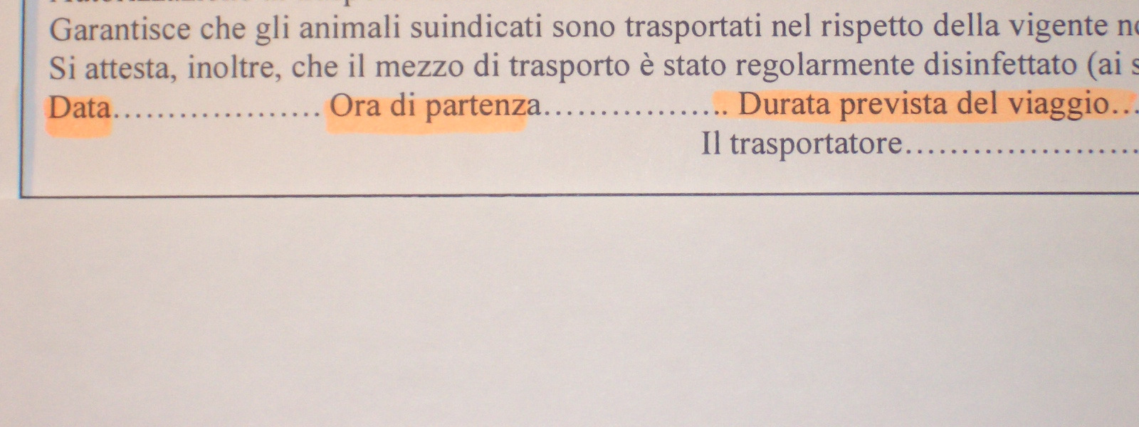 Documentazione di trasporto: