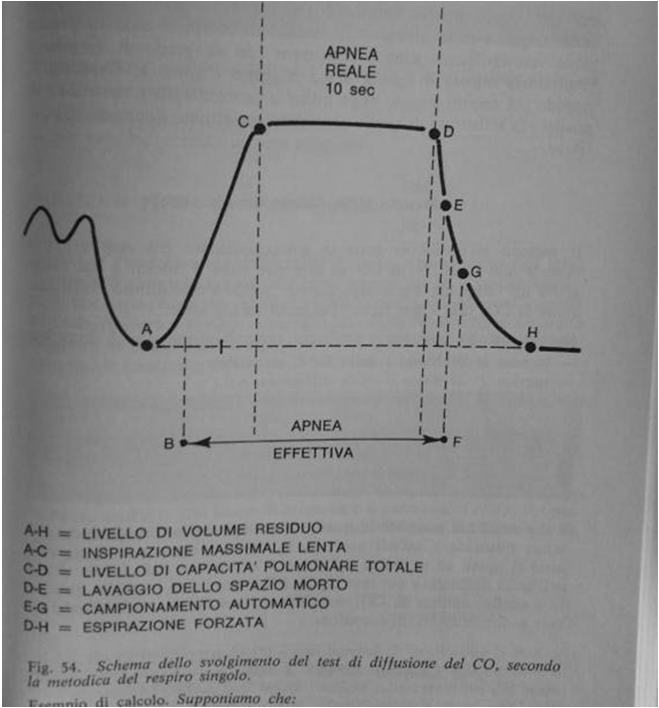 Capacità di diffusione Misurazione della Capacità di diffusione Test del singolo respiro Valuta la quantità di CO che attraversa la barriera alveolo-capillare durante un periodo di apnea di 10 a CPT.