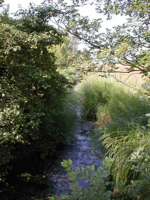 UN TUFFO NEL PASSATO UNA PASSEGGIATA TRA I FONTANILI Lungo i percorsi dell area Un percorso per conoscere l origi- protetta sono dislocati pan- ne dei fontanili, ambienti di acqua dol- nelli che