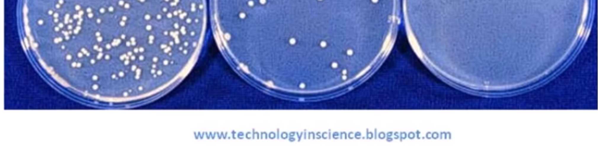 Capsule Petri di terreno colturale agarizzato dopo semina delle diluizioni seriali e incubazione 5 Determinazione della carica microbica VITALE attraverso il piastramento di diluizioni seriali