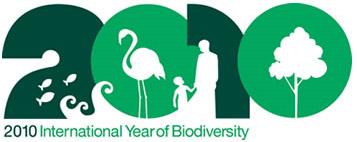 Verso il Piano regionale delle aree protette Milano, 3 marzo 2010 2010 anno internazionale della biodiversità: quale ruolo per i