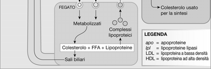 Scaricato da