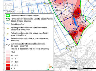 Le livellazioni effettuate nell ambito dell azione C 1 hanno consentito di misurare l abbassamento l del suolo - in media circa 20 cm negli