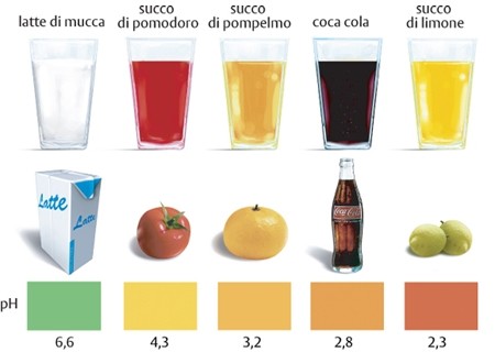 I Batteri La maggior parte dei microrganismi richiede un acidita' ottimale del alimento, anche se possono moltiplicarsi in un range abbastanza ampio di ph.