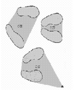 DURANTE LA Movimentazione paziente LE CONDIZIONI DI DISEQUILIBRIO SONO DETERMINATE DA: POSIZIONE DEL BARICENTRO DEL SISTEMA (baricentro dell operatore + bacicentro del pz = punto di applicazione di