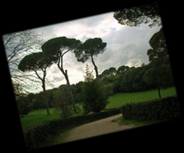Villa Ada Tema: campus natura Location: Villa Ada - collocato nella zona settentrionale della città, sulla via Salaria, è il secondo parco pubblico più grande di Roma dopo villa Doria-Pamphili.