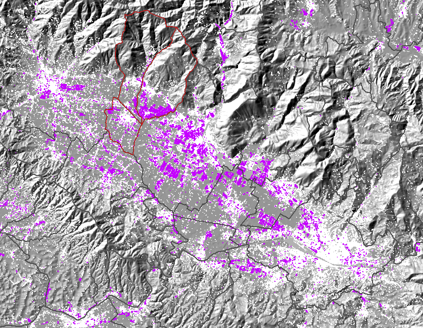 La distribuzione degli insediamenti produttivi nell area metropolitana Pistoia Prato Firenze