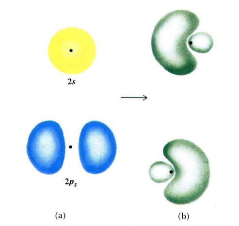 Orbitali ibridi Quando un atomo si lega ad un altro può non usare i suoi orbitali atomici, ma piuttosto nuovi orbitali ibridi derivanti dalla combinazione dei singoli orbitali atomici.