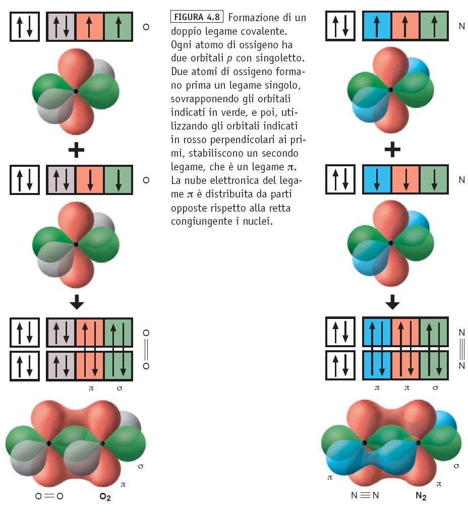 Legami multipli Un legame covalente viene definito legame π, se la sua nube