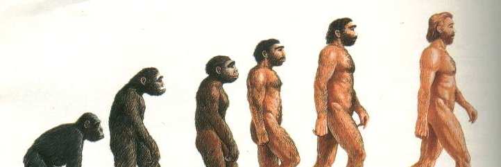 EVOLUZIONE «NULLA HA SENSO IN BIOLOGIA SE NON ALLA