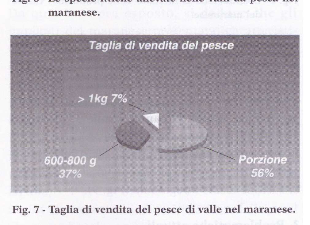 PROBLEMATICHE: 4.