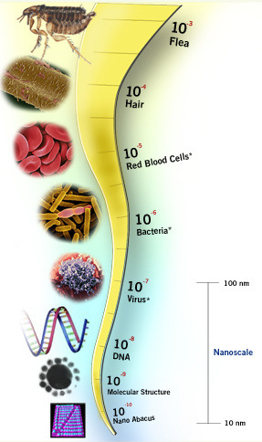 Nano-CHE?! 10-3 Pulci Cos è un nanometro?