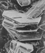 Tridimite-β (esagonale)