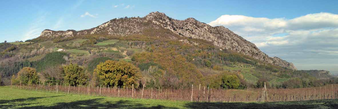 ALESSANDRA CUROTTI Sopra, antichi cordoni di dune (staggi), intervallati da avvallamenti allagati, nella Pineta di San Vitale; a fianco, una scolaresca in visita al Tanone della Gaggiolina e, sotto,