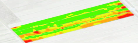 ste anche ad analisi sensoriale (specifi co Panel test) che ha evidenziato in generale migliori caratteristiche dei prodotti derivanti dalle colture irrigue di Vallevecchia (il melone è stato