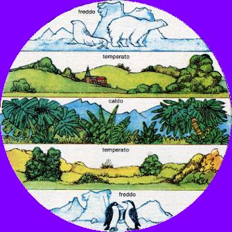 Evoluzione della vita vegetale Il pianeta terra ha circa 4,5 miliardi di anni 3,2 miliardi di anni fa I primi fossili ( cellule molto semplici procarioti) Formazione di acqua, molecole organiche e