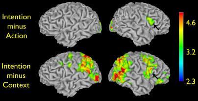 22 di 50 12/05/2014 11:36 FIGURA 10. Mostra le aree del cervello dell'uomo che evidenziano un aumento del segnale dell'attività neurale nelle situazioni di azione, contesto e intenzione.